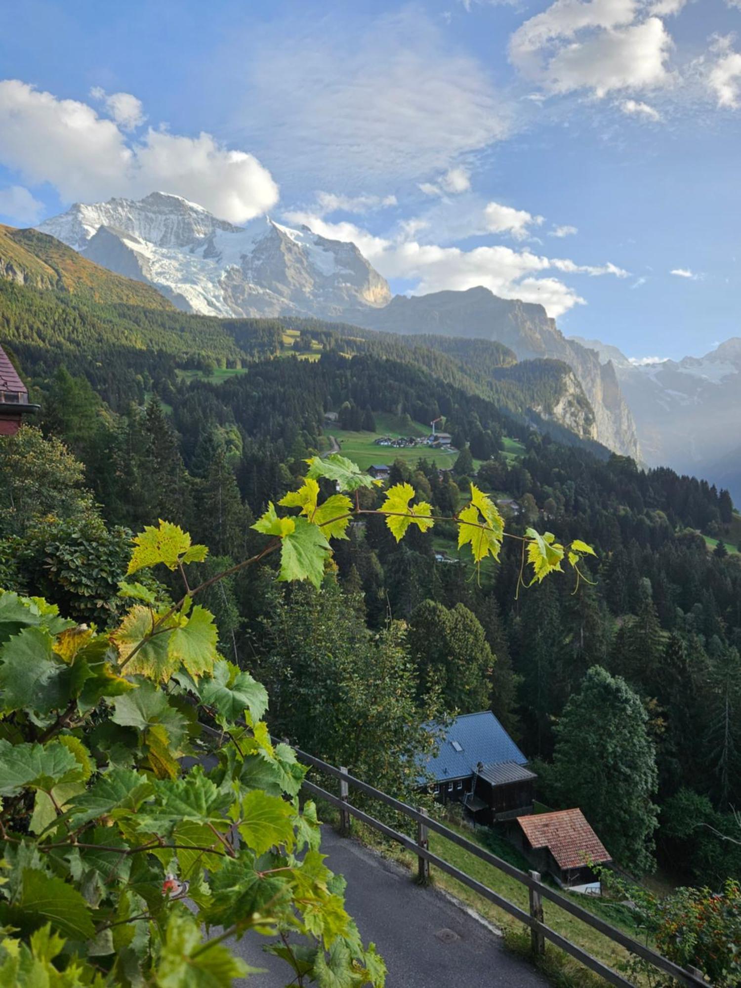 Chalet Aargovia South Wengen Zewnętrze zdjęcie